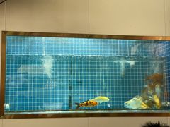 -南沙辉记烧鸡·荔枝木炭火吊烧(旧镇店)