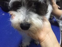 -喜狗宠物生活馆(岳州路店)