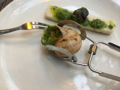 -金蜗牛