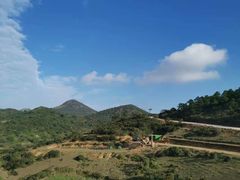 -大姆山草场