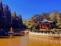 -湛山寺