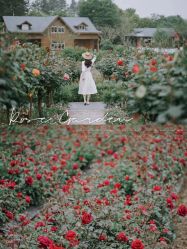 -雪中彩影婚纱摄影·微光艺术中心