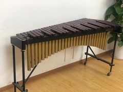 -音歆国艺馆·民乐培训(双榆树店)