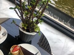 -锦江都城经典达华静安寺酒店·餐厅