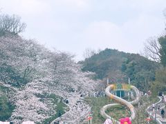 -杭州少年儿童公园