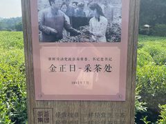 -中国茶叶博物馆(双峰馆区)