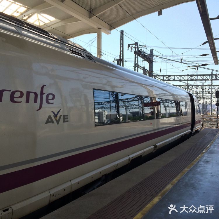 西班牙马德里阿托查火车站乌龟植物乐园