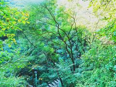 -老象峰