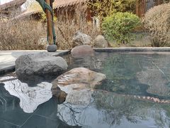 -麦积山温泉