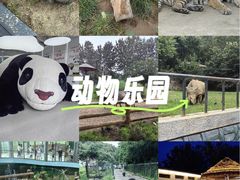 -大连森林动物园