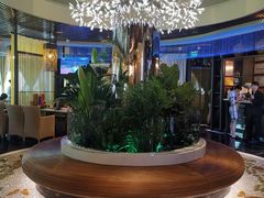 -润园四季椰子鸡火锅(海上世界店)