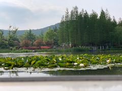 景点-云龙湖旅游景区