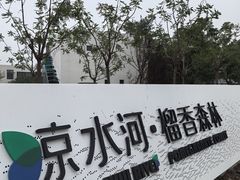 -石榴庄公园