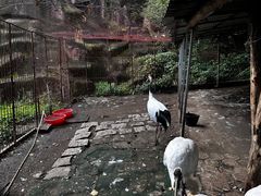 -哈尔滨北方森林动物园
