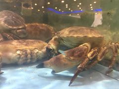 -快乐海鲜城(虎泉街店)