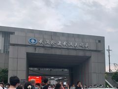 -武汉关码头(轮渡站)