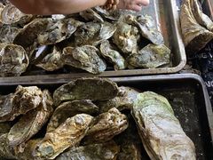 -土蚝·高压锅生蚝(百姓美食街店)