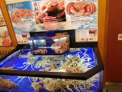 活蟹-蟹道乐(道顿堀本店)