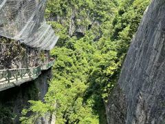-鹿院坪生态旅游景区