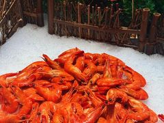 -海德温泉生活馆(朝阳大悦城店)