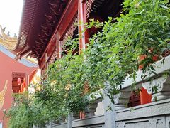 -钦赐仰殿道观
