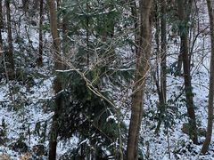 -镇江市南山风景名胜区竹林景区