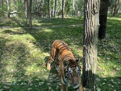 -北京野生动物园