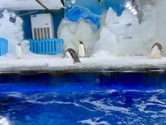 -郑州银基冰雪世界