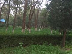-顺鑫绿色度假村