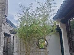 -芥子园