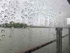 -真真鲜馄饨店(启蒙路店)