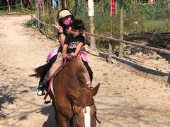 -广东花都香草世界旅游度假区
