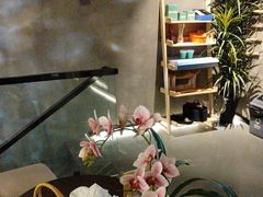 -施奈儿.洗头頭療.按摩SPA.采耳(上梅林店)