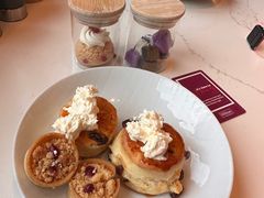 -新加坡乌节希尔顿酒店