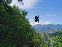 -圣莲山风景区