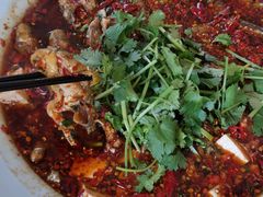 -胖大姐黄辣丁鱼庄(新津店)