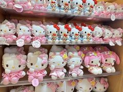 -安吉Hello Kitty乐园