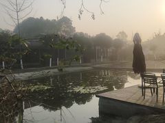 -洪湖家庭农场·团建·露营·会议