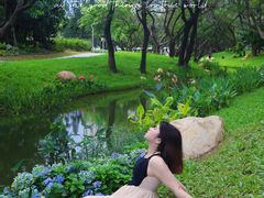 -人民公园(罗湖区)