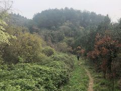 -青龙山国家森林公园