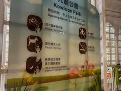 -九龙公园