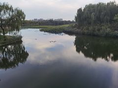 -大兴滨河森林公园