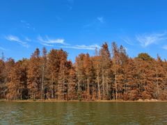 -上海海湾国家森林公园