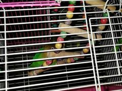 -三品尚院(贝勒府旧址店)