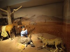 -陕西自然博物馆