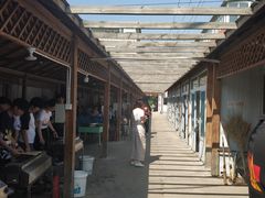 -亲兄弟真人CS团建拓展基地