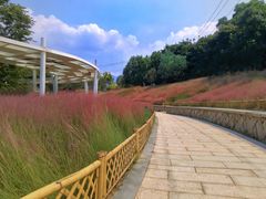 -牛岗山公园