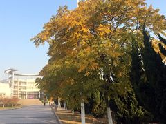 -南京理工大学紫金学院