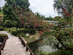 -成飞公园