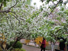 -元大都城垣遗址公园